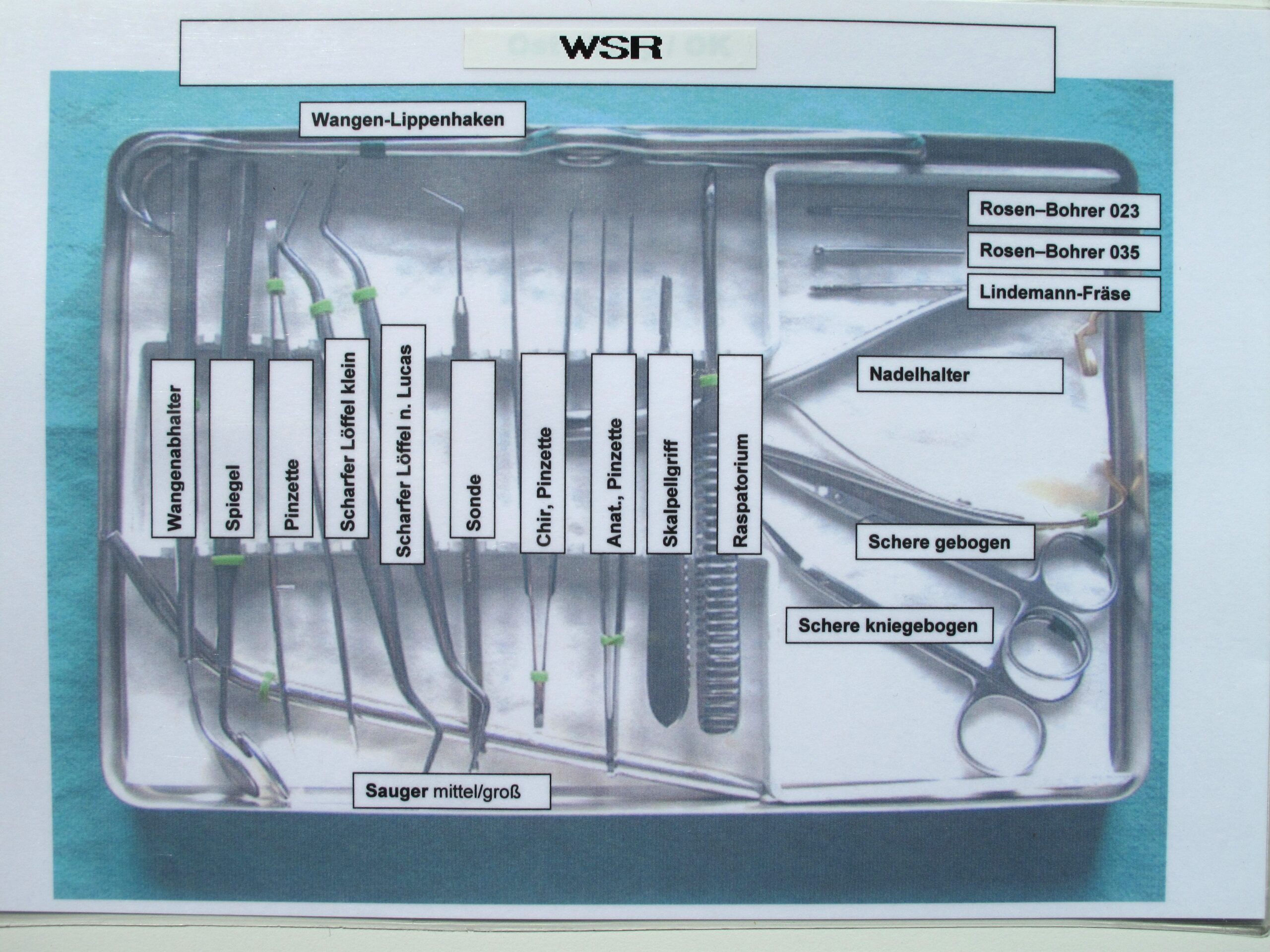 Basis-Tray WSR | 339431