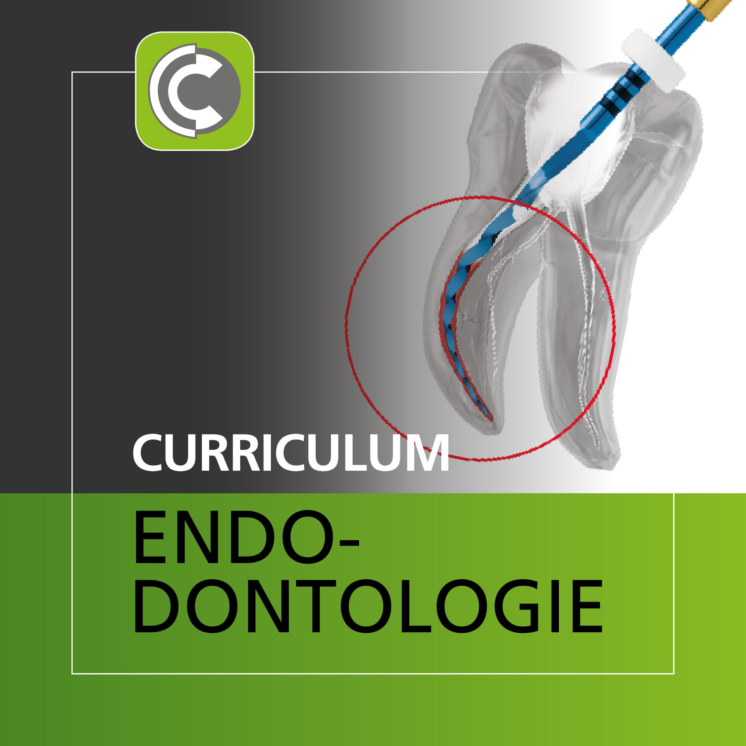 Curriculum Endodontologie | 340904