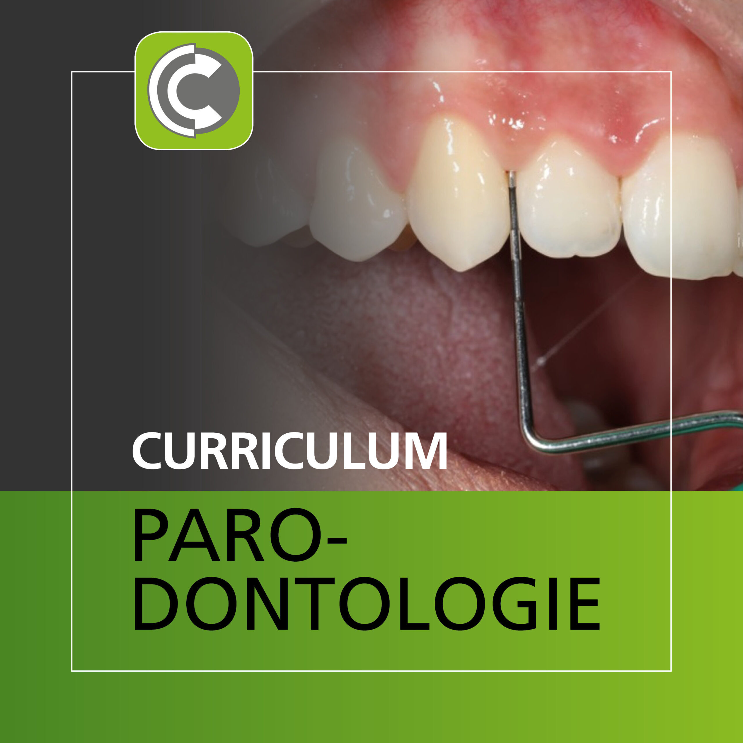 Curriculum Parodontologie | 343374