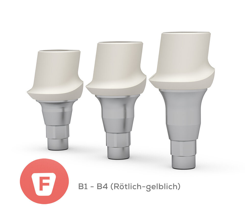 Artikel C-036-B07F08 | 380316