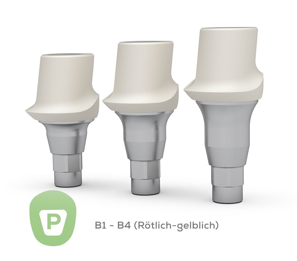 Artikel C-036-B07P07 | 380338