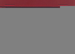 Dürr Clear Reinigungsfilme | 374687