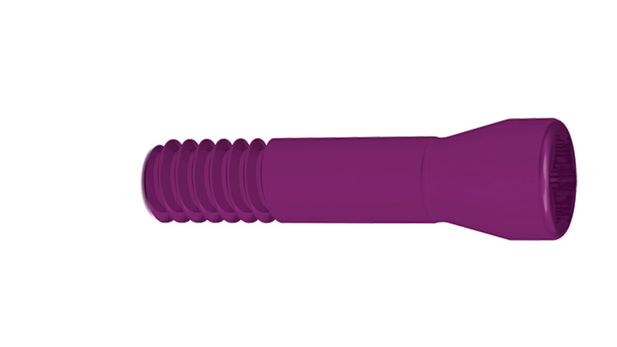Verbindungsschraube RC | 379948