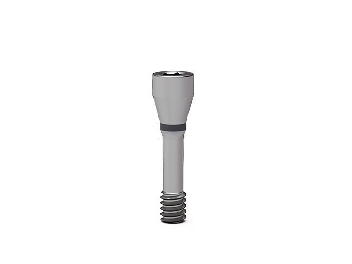 ICX-Verbindungsschraube, silber | 379735