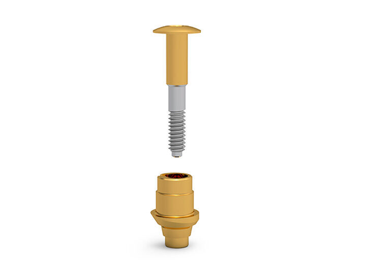 ICX Steg Exzenter-Aufbau, titan, Steghöhe 3,5mm | 377819