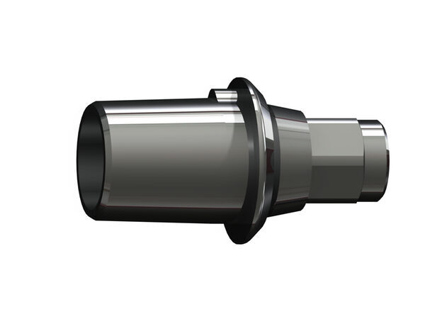 ICX-Klebebasis, Standard GH 0mm – nur BL-Implantate! | 377376
