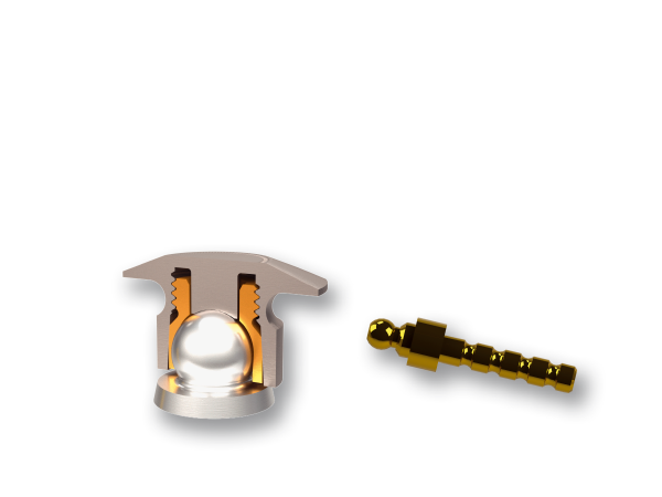 Dalbo®-PLUS Matrize TE elliptic, komplett (plus Modellanalog) | 377483