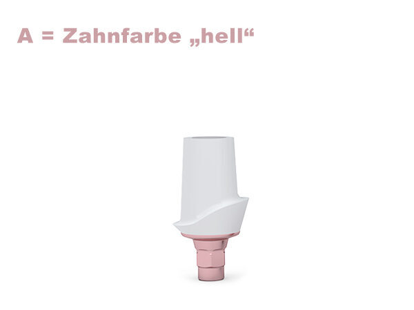 ICX-3.3 CERICX Aufbau, hell | 378068