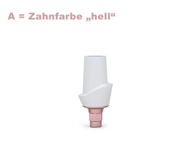 ICX-3.3 CERICX Aufbau, hell | 379198