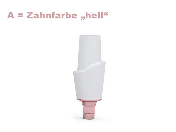 ICX-3.3 CERICX Aufbau, hell | 379207