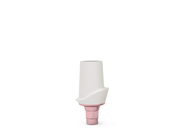 ICX-3.3 CERICX Aufbau, standard | 378062