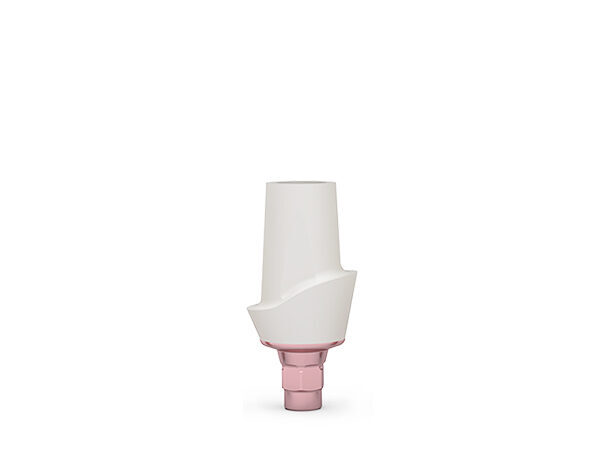 ICX-3.3 CERICX Aufbau, standard | 379186