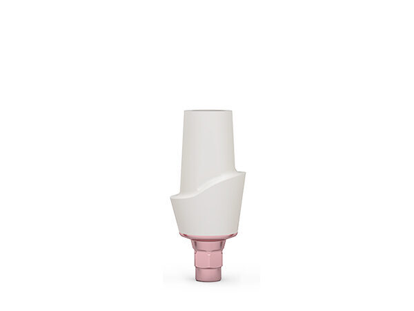 ICX-3.3 CERICX Aufbau, standard | 379189