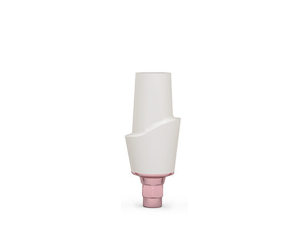 ICX-3.3 CERICX Aufbau, standard | 379192