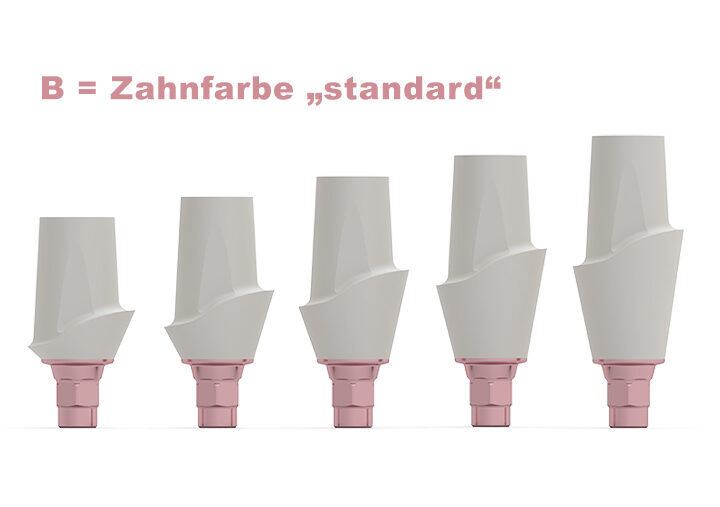 ICX-3.3 CERICX Aufbau, standard | 378061