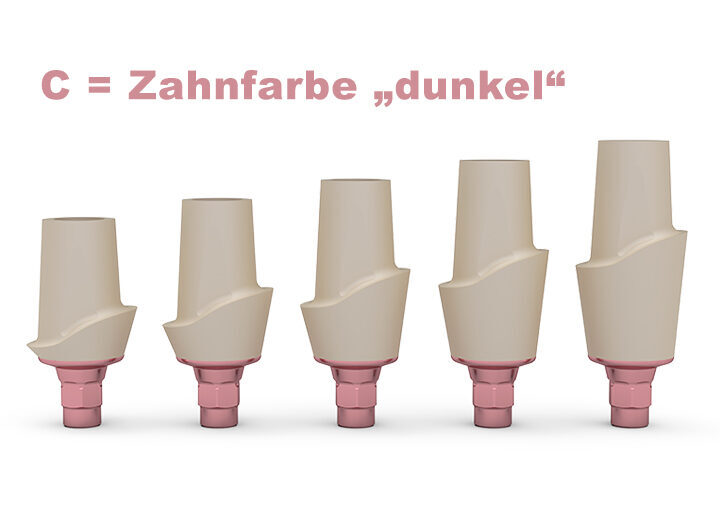 ICX-3.3 CERICX Aufbau, dunkel | 379176