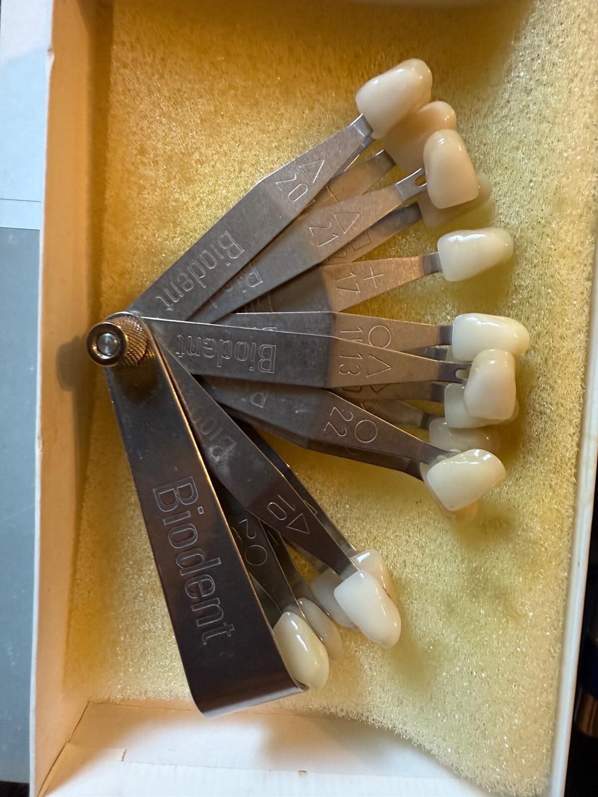 Zahnfarbpalette Biodent Dentsply | 383360