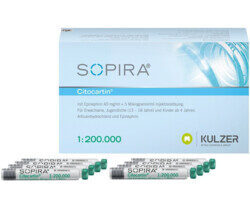 Kulzer Translux Cure | 438663