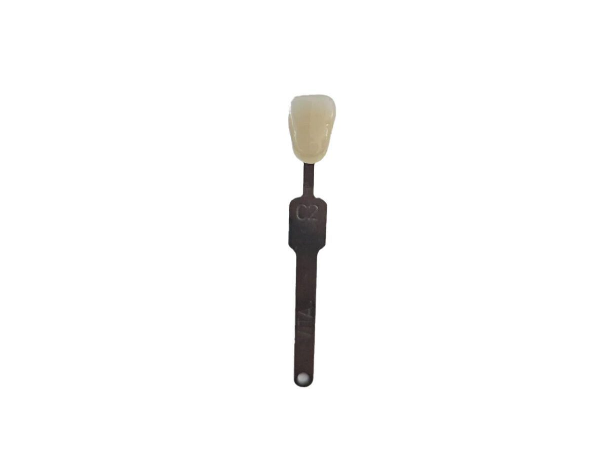 CRS Composite Resin C2 (500g) | 425749