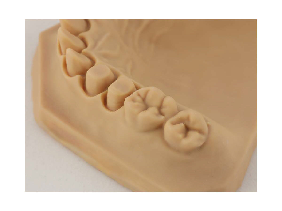 CRS Ortho Model Resin sand (1000g) | 425773