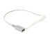Kerr Apex Connect Feilenhalter B | 438186