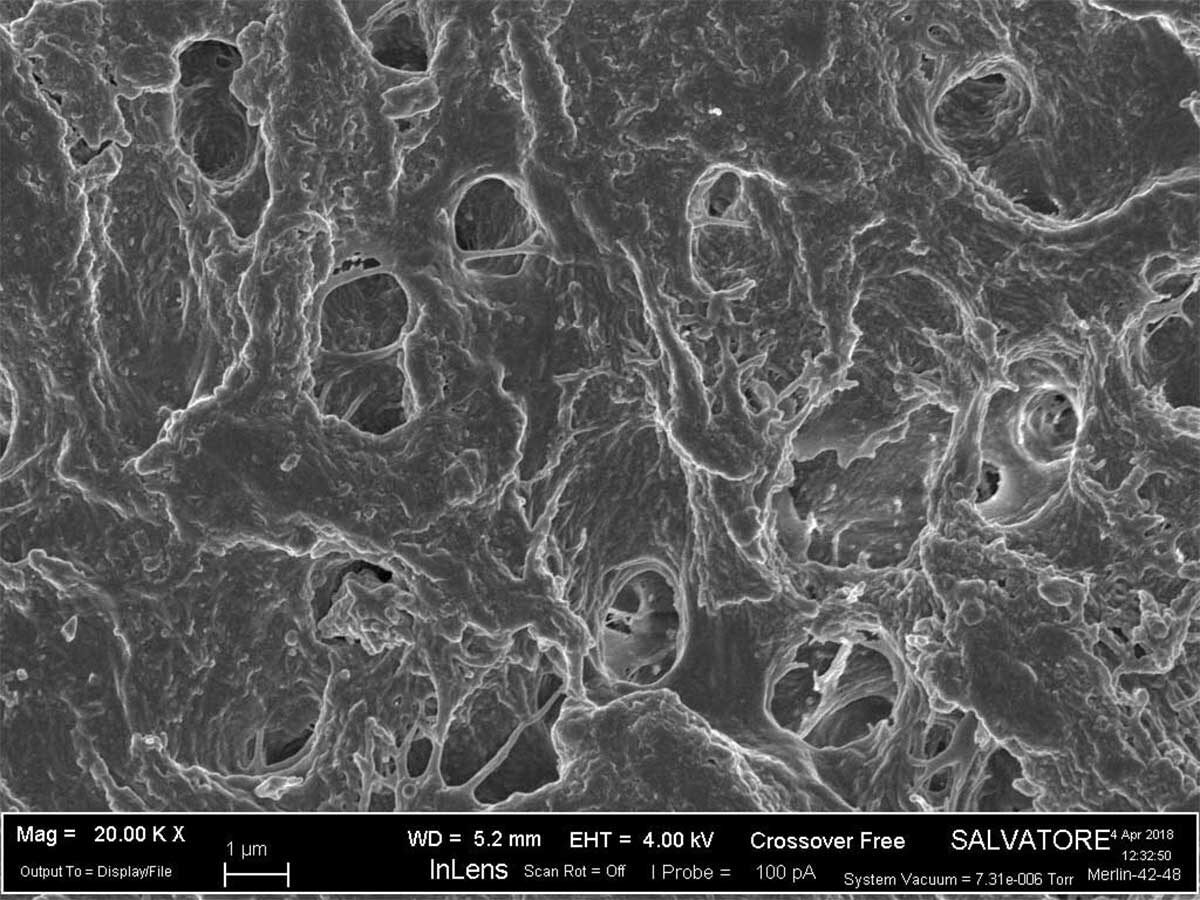 Curved Lamina® soft 35x35x1,0 mm, Porcine #LS10HS | 422847