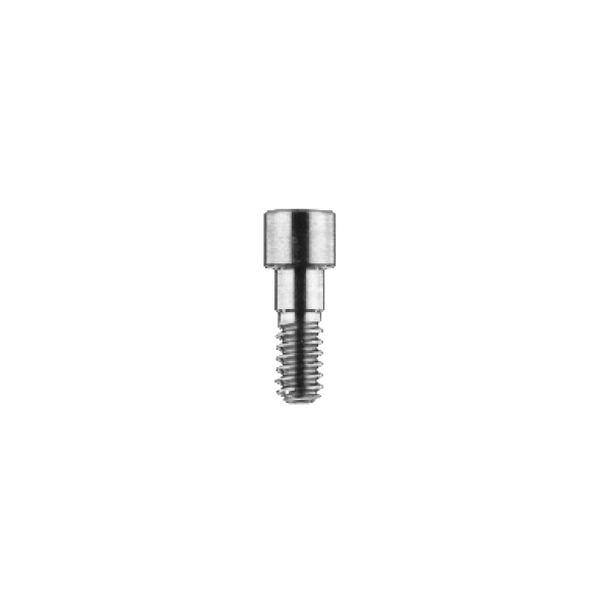 Schütz Dental Stegschraube für Modellierhilfe | 428366