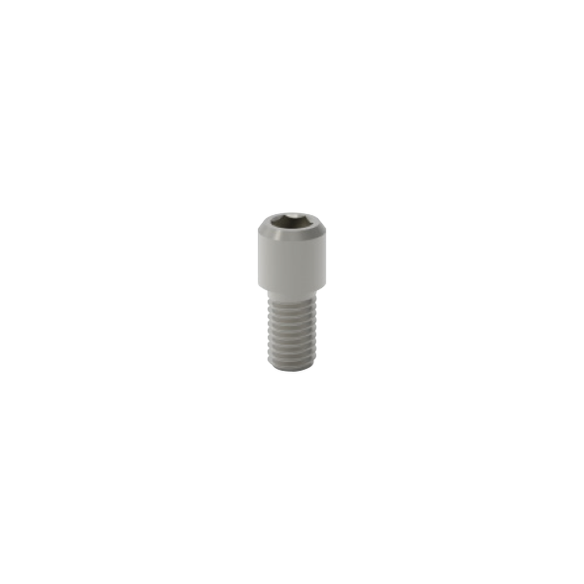 Schütz Dental Prothetikschraube sekundär | 428265