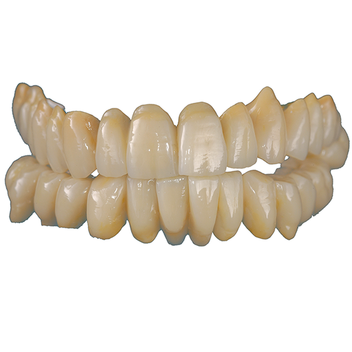 Schütz Dental Sebond Smart 5 ml | 428170
