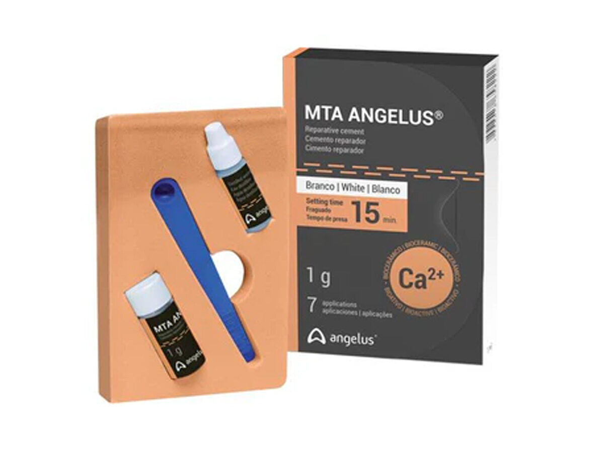 MTA Root Canal Repair Material weiß (1 g) | 423780