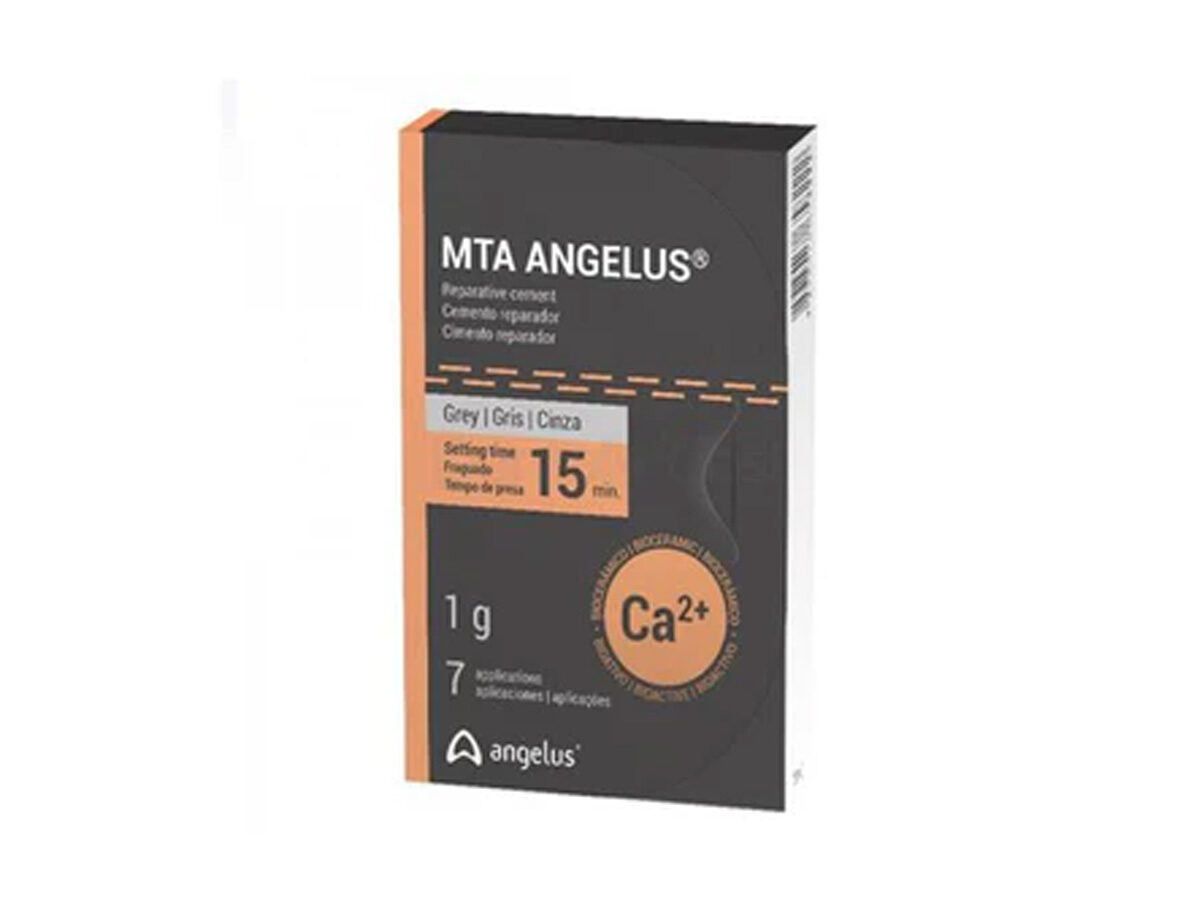 MTA Root Canal Repair Material grau (1 g) | 423784