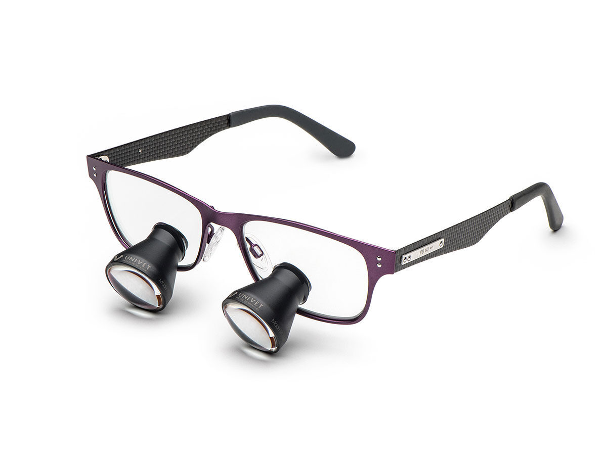 Galilei TTL Lupe 2,5×400 mm mit Gestell Ash Small Purple/Grey | 424016