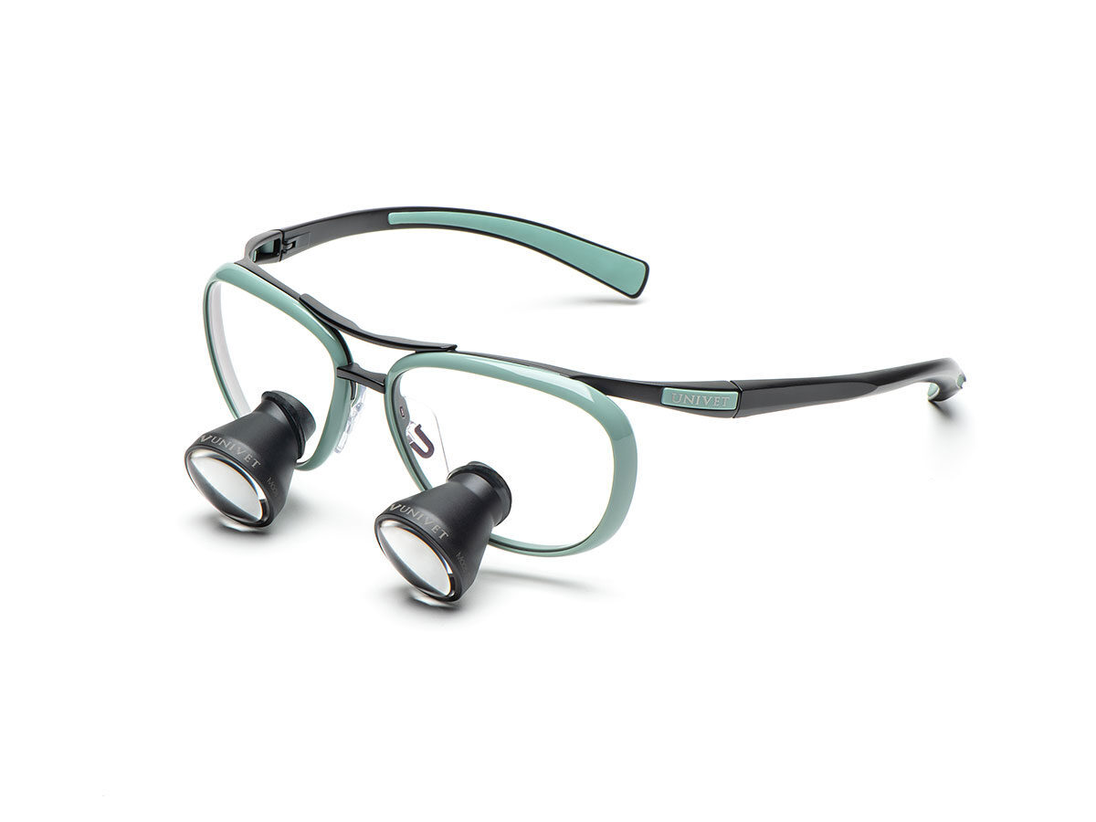 TTL ITA Galilei Green Vespa 2,5×350 mm | 424094