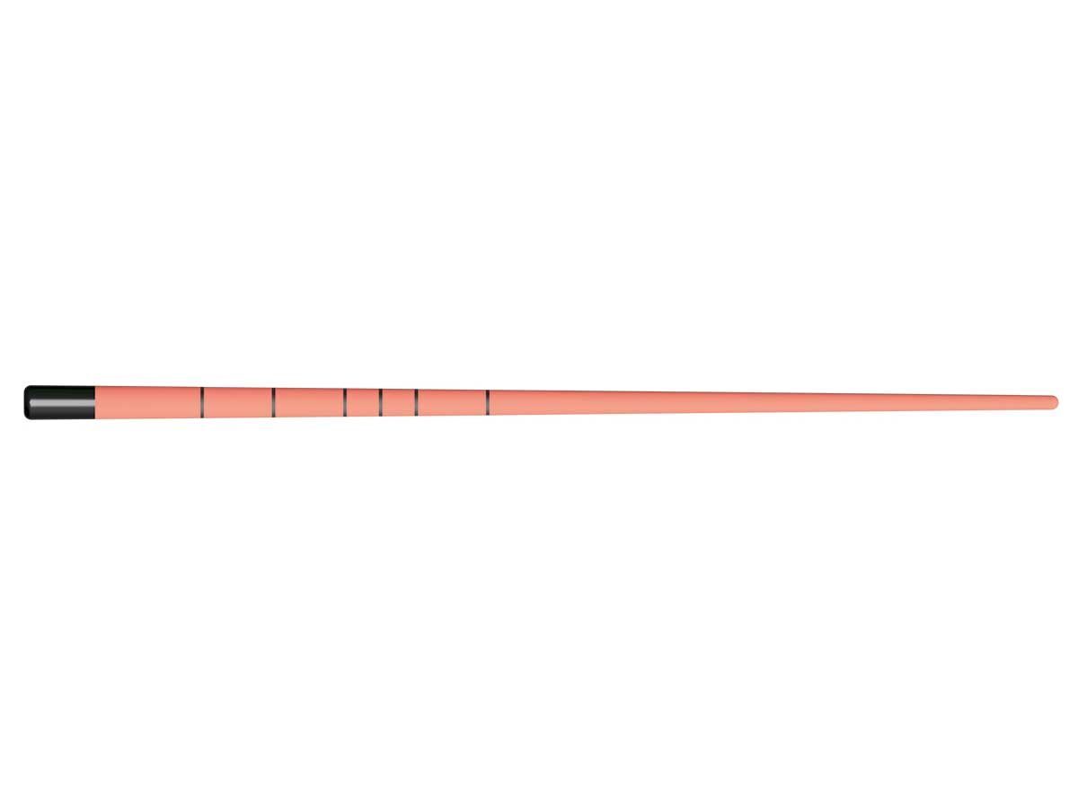 Gutta Percha Points 40/.06 (60) | 424418