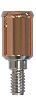 BioHorizons® | Tapered Internal Implant System® | Gerades Abutment | 427408