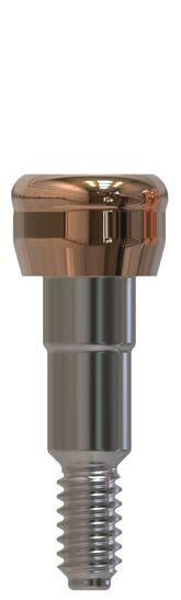 Camlog® | Camlog® | Gerades Abutment | 427370