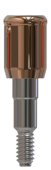 Camlog® | Camlog® | Gerades Abutment | 427373