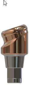 Camlog® | Camlog® | 18˚ abgewinkeltes Abutment | 427360