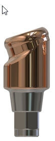 Camlog® | Camlog® | 18˚ abgewinkeltes Abutment | 427361