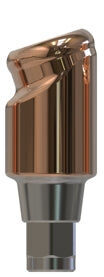 Camlog® | Camlog® | 18˚ abgewinkeltes Abutment | 427362