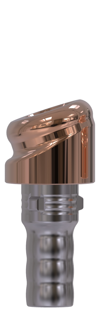 Camlog® | Camlog® | 18˚ abgewinkeltes Abutment | 427364