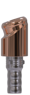 Camlog® | Camlog® | 18˚ abgewinkeltes Abutment | 427365