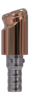 Camlog® | Camlog® | 18˚ abgewinkeltes Abutment | 427366