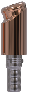 Camlog® | Camlog® | 18˚ abgewinkeltes Abutment | 427367