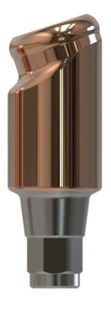 Camlog® | iSy® | 18˚ abgewinkeltes Abutment | 427312