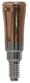 C-TECH IMPLANT | EL | Gerades Abutment | 427391