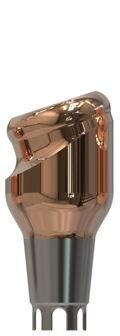 DENTSPLY Implants® | Ankylos® C/X | 18˚ abgewinkeltes Abutment | 427317