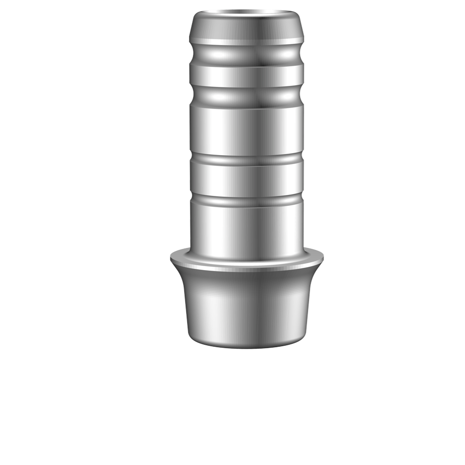 MegaGen | AnyRidge® | 427674