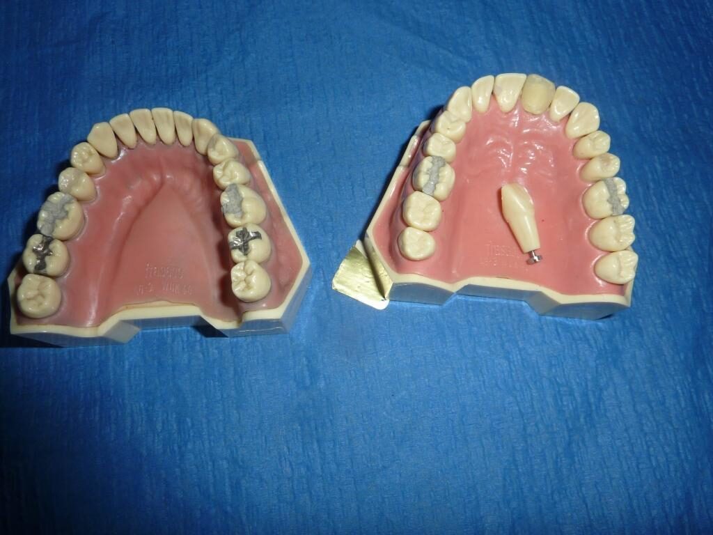 Frasaco Demo/Übungsmodell | 387963