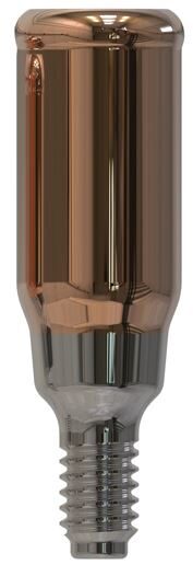 MegaGen® | AnyRidge® | Gerades Abutment | 427239